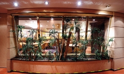 MSC Musica Class card room3