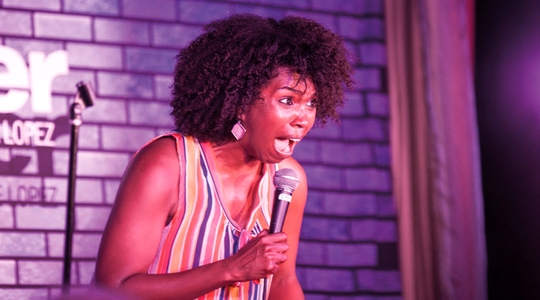 The Punchliner Comedy Club™