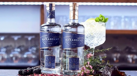 Salcombe Gin Distillery