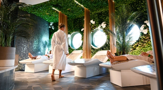 Rainforest Room